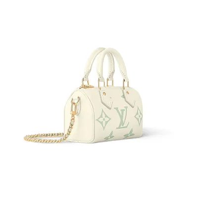 Louis Vuitton Bags Speedy