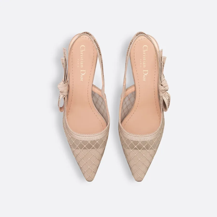 Dior stiletto heels, pointy heels