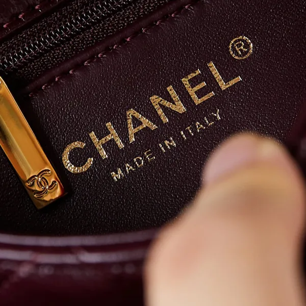 Chanel Gold handle handbag wine red/black/White/milk tea color/avocado green crossbody bag - Image 8