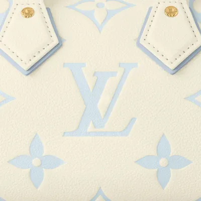 Louis Vuitton Bags Speedy