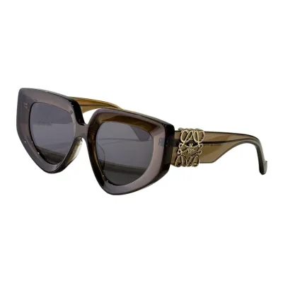 Loewe glasses grey/pink/tawny/leopard black/leopard brown/black silver/black gold/black brown color Size 51口19-145