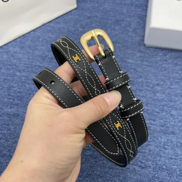 Celine Belt In Brown/Black Calfskin With Gold Hardware 20mm - Image 6