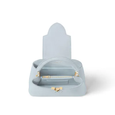 Louis Vuitton Bags Capucines