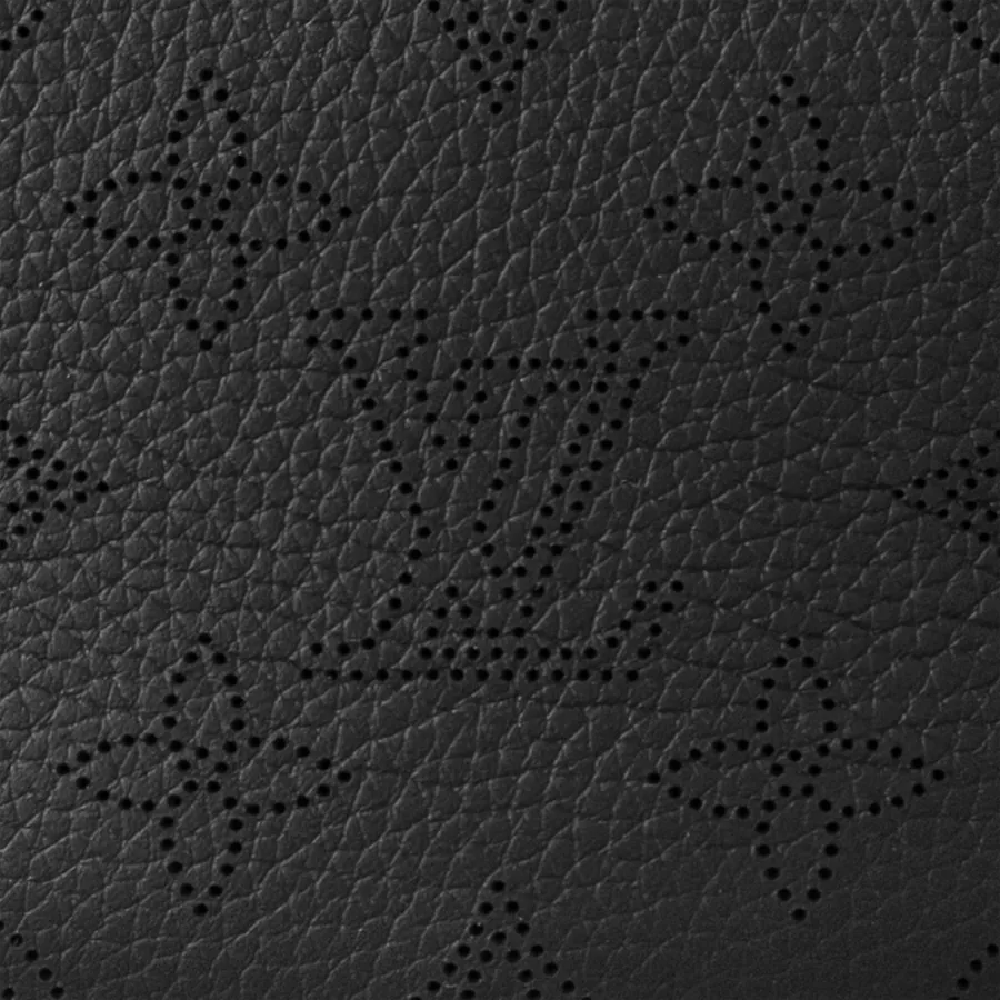 Louis Vuitton Bags Baia