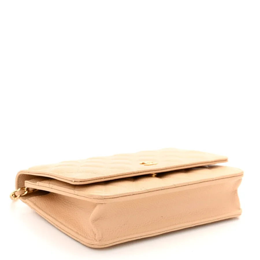 Chanel Wallet On Chain | Luxury Handbags