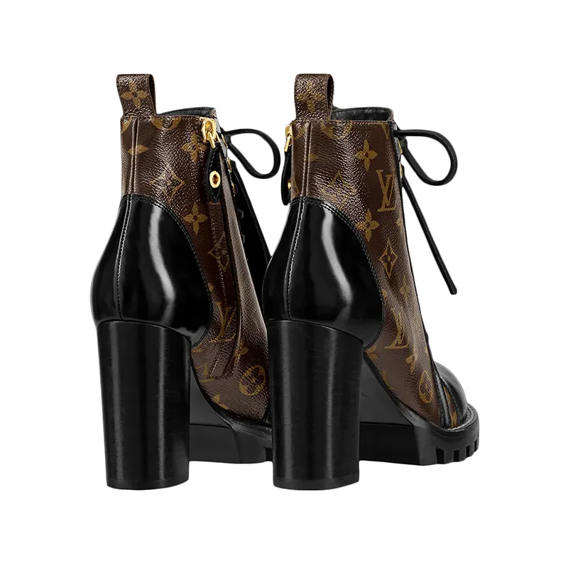Louis Vuitton Chunky heels and ankle boots