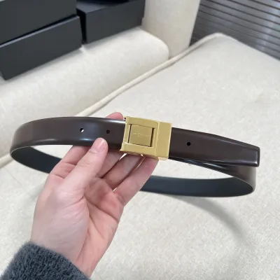 Saint Laurent LA 76 Belt In Burgundy/Black Smooth Calfskin With Gold/Silver Hardware 30mm