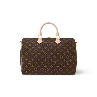 Louis Vuitton Bags Speedy
