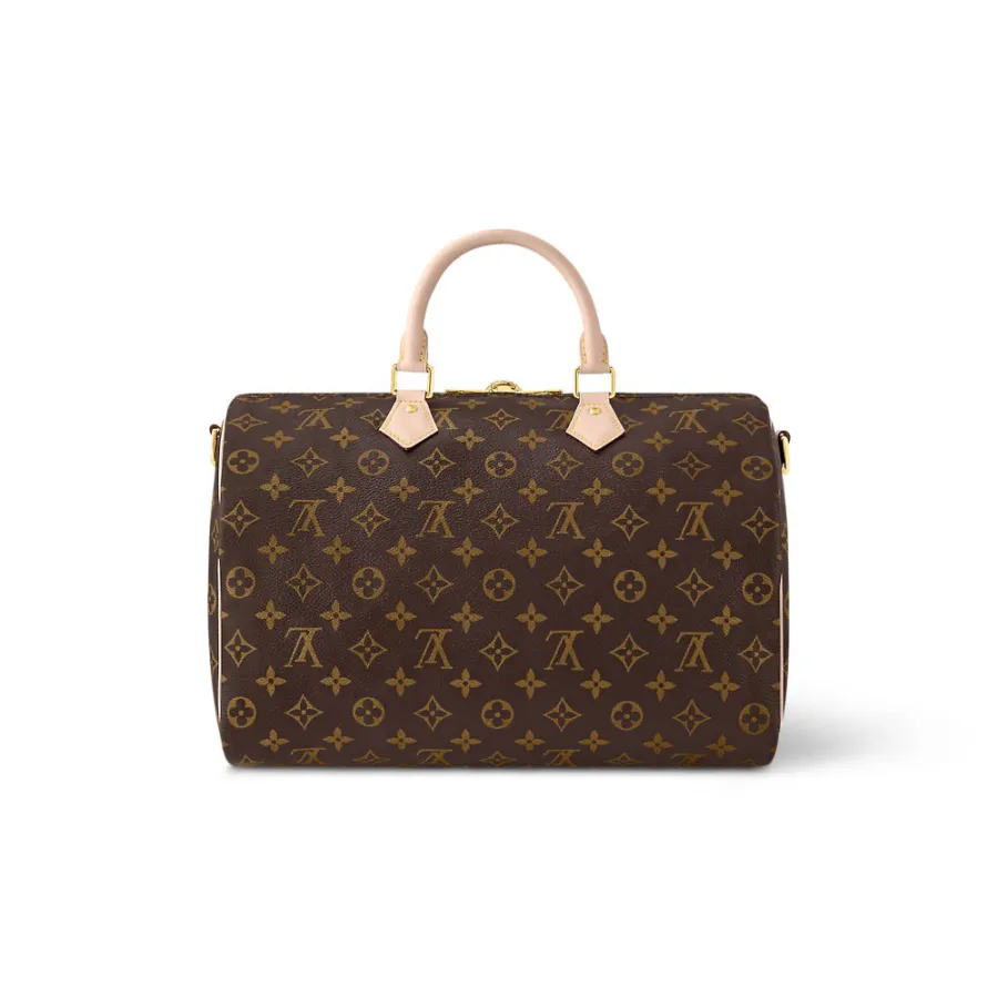 Louis Vuitton Bags Speedy
