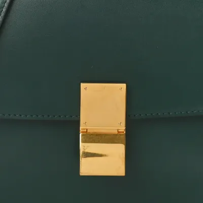 Celine Medium Classic Box Medium Flap Bag Amazone Box Calfskin Leather Gold Hardware