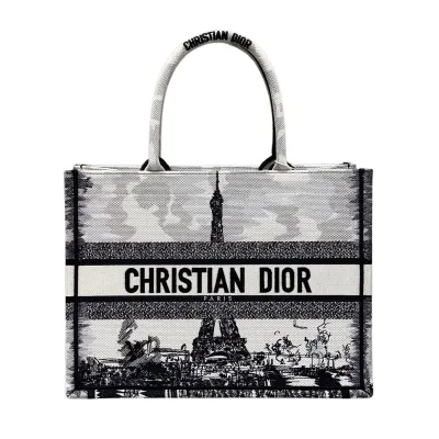 Dior Medium Dior Book Tote White and Black Paris Embroidery