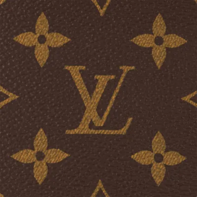 Louis Vuitton Bags  WOC LVY