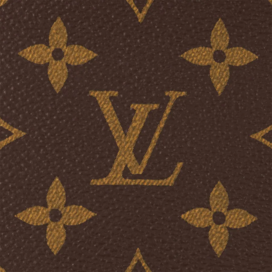 Louis Vuitton Bags  WOC LVY