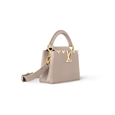 Louis Vuitton Bags Capucines
