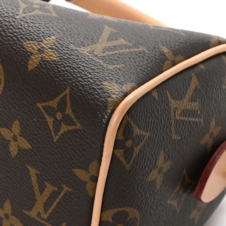 Louis Vuitton Speedy Bandoulière 20 Monogram Canvas Brass Hardware