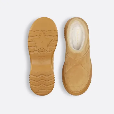 Dior ankle brown boots