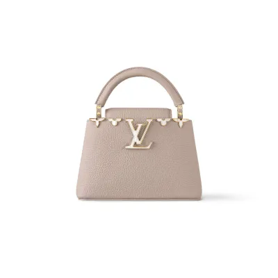 Louis Vuitton Bags Capucines