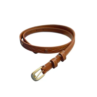 Celine Belt In Brown/Black Calfskin With Gold Hardware 20mm