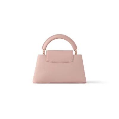 Louis Vuitton Bags Capucines
