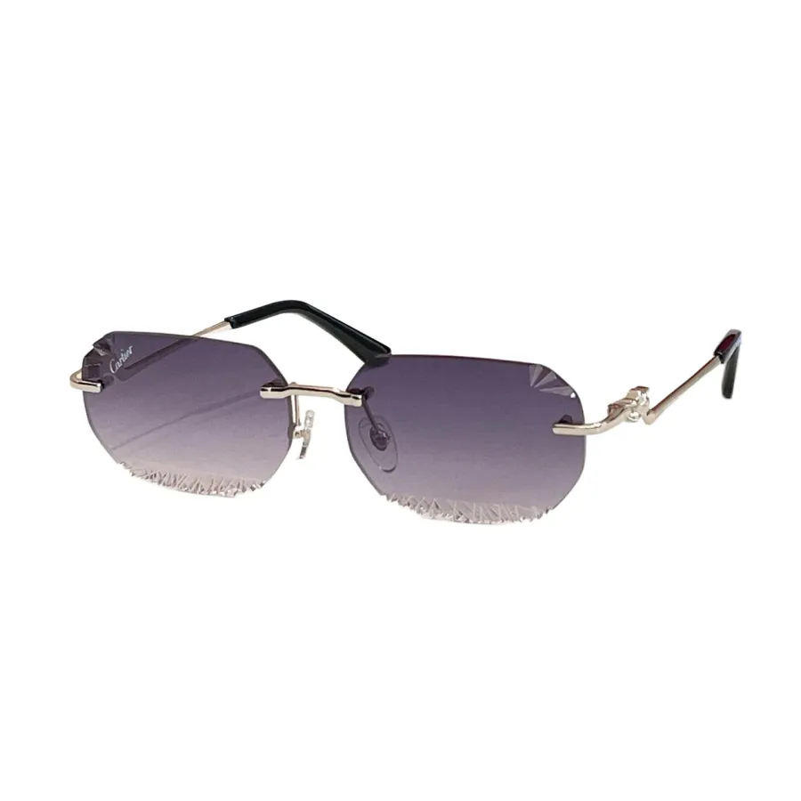 Cartier glasses blue pink/blue gold/blue silver/grey/grey orange/black/brown/purple gold/purple silver/green color Size 58口15-135