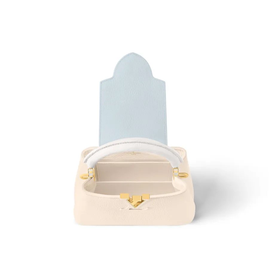 Louis Vuitton Bags Capucines