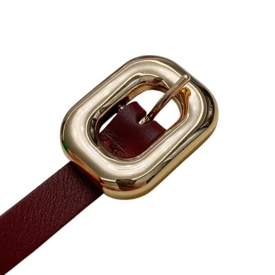Bottega Veneta Women's Chain Link Belt In Red Calfskin With Gold/Silver Hardware 12mm