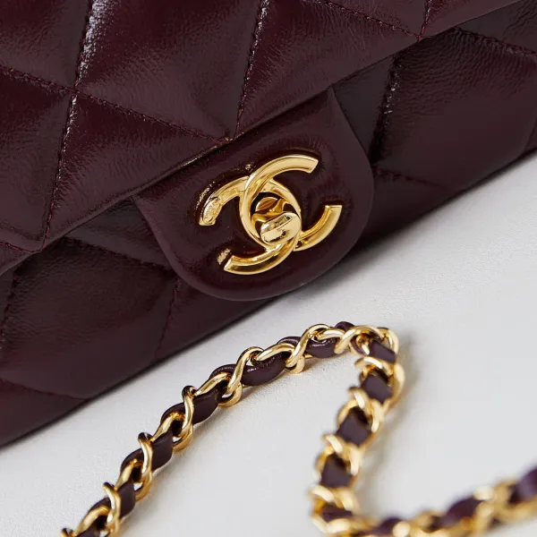 Chanel Gold handle handbag wine red/black/White/milk tea color/avocado green crossbody bag - Image 7