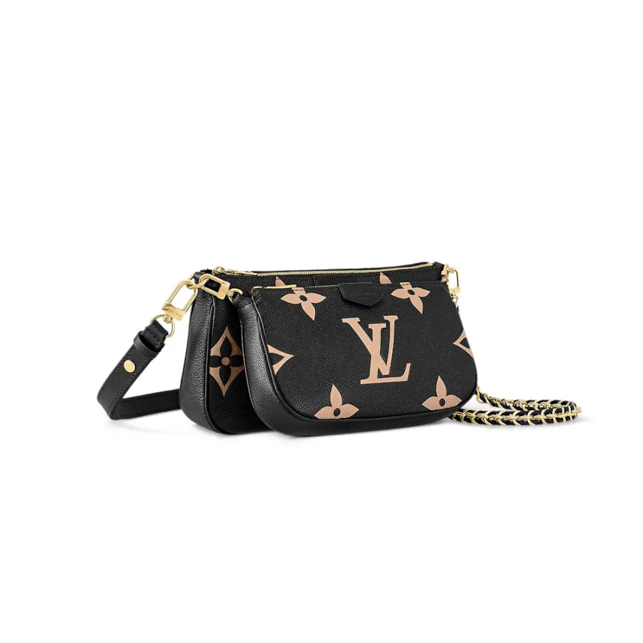 Louis Vuitton Bags Multi