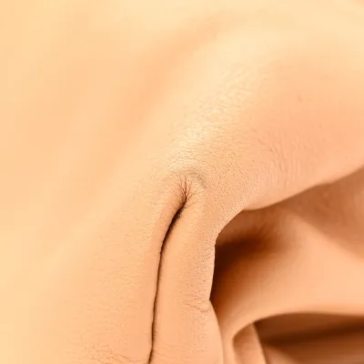 Bottega Veneta Mini Teen Pouch Almond Calfskin Leather