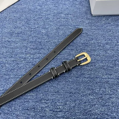 Celine Belt In Brown/Black Calfskin With Gold Hardware 20mm