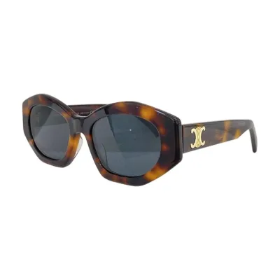 Celine glasses black/leopard/beige/pink color Size 55口19-145