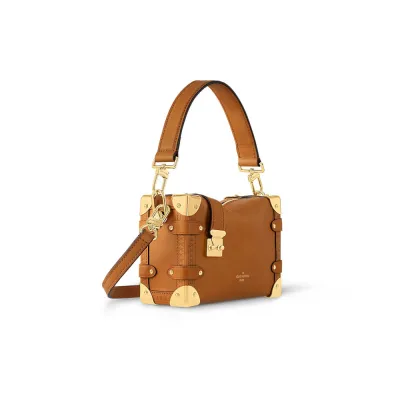 Louis Vuitton Bags Side Trunk