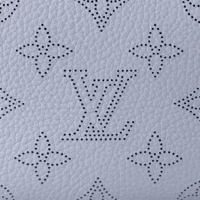 Louis Vuitton Bags LOOP