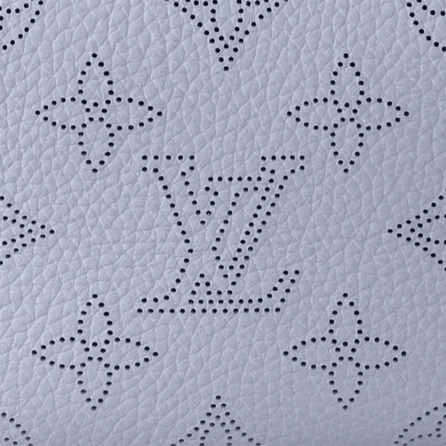 Louis Vuitton Bags LOOP