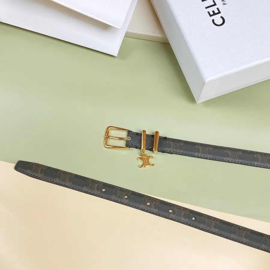 Celine Elegant Charm Belt In White/Black/Pink/Champagne Gold/Brown Taurillon Leather With Gold Hardware 18mm