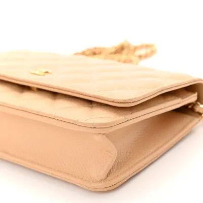 Chanel Wallet On Chain | Luxury Handbags