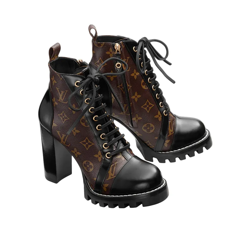 Louis Vuitton Chunky heels and ankle boots