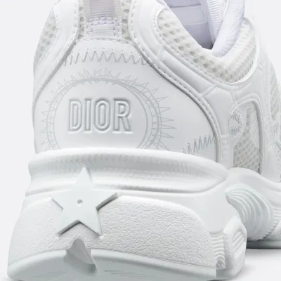 Dior gray sneakers