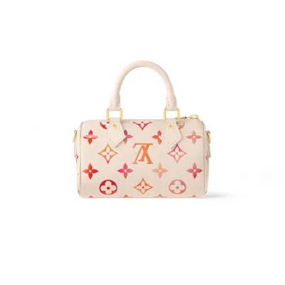 Louis Vuitton Bags Speedy