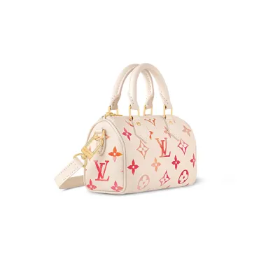 Louis Vuitton Bags Speedy
