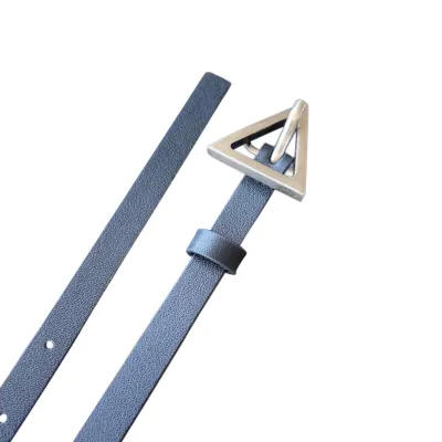 Bottega Veneta Women's Triangle Buckle Belt In Black/Green/Coffee Calfskin With Gold/Silver Hardware 13mm