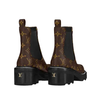 Louis Vuitton Brown ankle boots