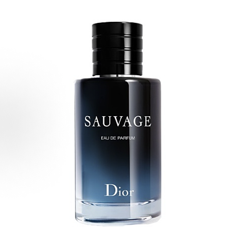 Dior SAUVAGE (Fragrância Leve) Fragrância Masculina 100ml