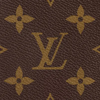 Louis Vuitton Bags Palm Springs