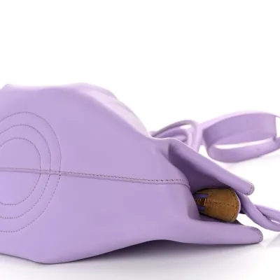 Loewe Paseo Bag Small Light Mauve Shiny Nappa Calfskin Leather Gold Hardware