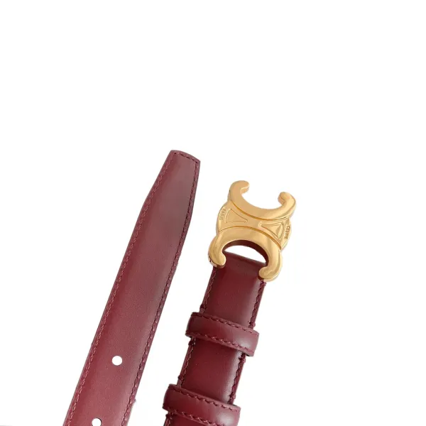 Celine Triomphe Buckle Revesible Belt In Burgundy/Red/Blue/Pink/White/Brown/Black Calfskin With Gold Hardware 25mm - Image 2