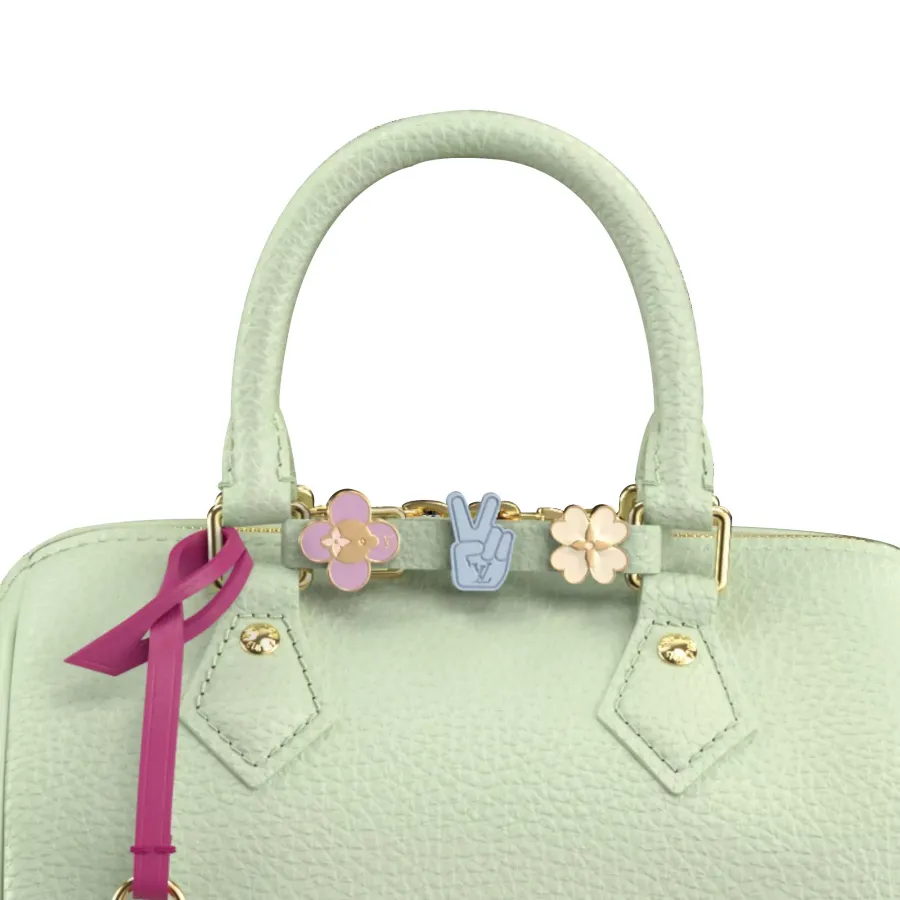 Louis Vuitton Bags Speedy