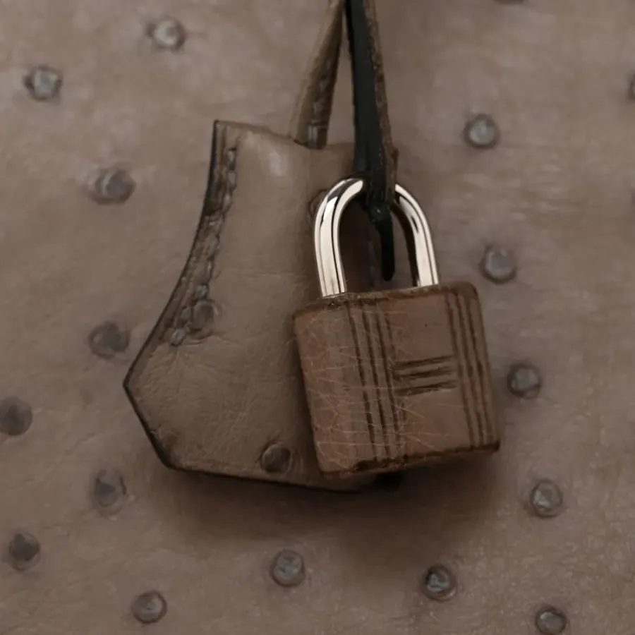Hermès Birkin 30 Gris Tourterelle Ostrich Leather Palladium Hardware