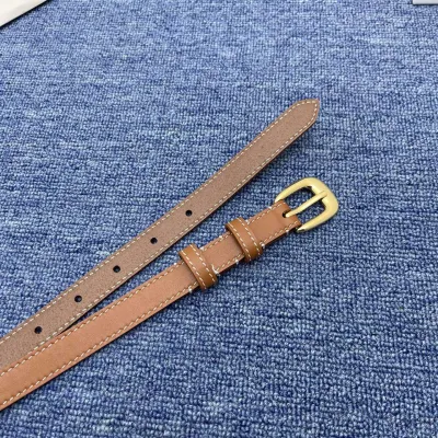 Celine Belt In Brown/Black Calfskin With Gold Hardware 20mm