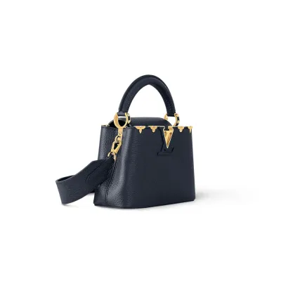 Louis Vuitton Bags Capucines